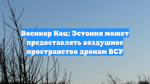 Военкор Коц: Эстония может предоставлять воздушное пространство дронам ВСУ