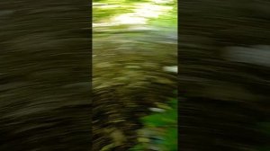 исследователи😙🙃