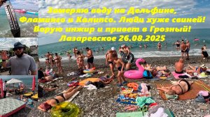 Замеряю море на 3х пляжах! Люди хуже свиней! Ворую инжир и привет в Грозный! ЛАЗАРЕВСКОЕ 26.08.25.