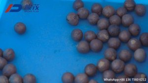 Peнтгeн-cкaнeр для контроля качестваорехов  JMX-P4020 Dream Plus