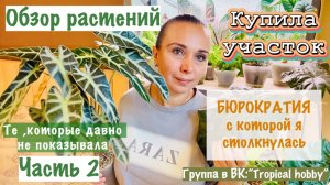 Обзор растений. Часть 2 . Давно их не показывала. Купила участок сплошная бюрократия🤷🏻♀️