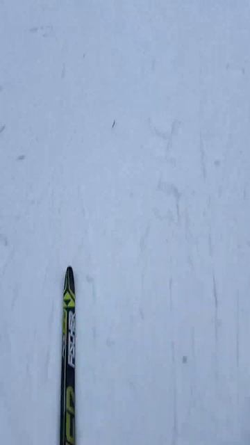 30 января 2024 г. смотреть онлайн