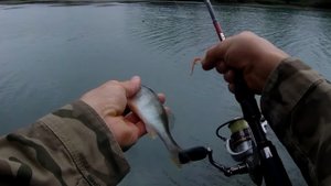 Рыбалка 🎣на окуня,на р.Егорлык,чуть не смыло!