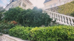 Крым.Пансионат Чайная горка.