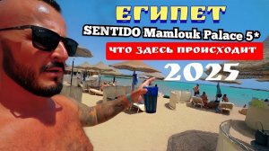 Египет 2025 🇪🇬 У МЕНЯ НЕБОЛЬШОЙ ШОК SENTIDO Mamlouk Palace 5* СЕРВИС, ПИТАНИЕ и ПЛЯЖ
