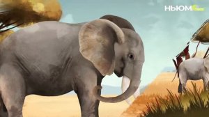 Удивительные суперспособности слонов