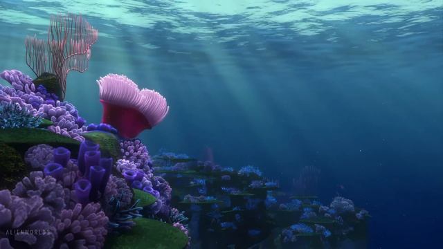 Finding Nemo (2003) ｜ Ambient Soundscape-(1080p24)