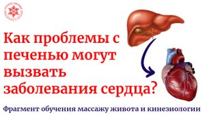 Как проблемы с печенью могут вызвать заболевания сердца?  Фрагмент обучения