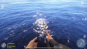 рр4 ушел на рыбалку