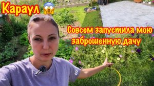 ПРИЕХАЛИ НА ДАЧУ ЧЕРЕЗ 10 ДНЕЙ, А ТАМ…/УБОРКА ЗАБРОШЕННОГО ОГОРОДА/СОБИРАЮ УРОЖАЙ