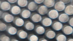 Карбогидратные - Трезвый Взгляд