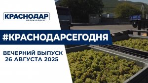 Старт сбора винограда, подготовка школ к 1 сентября. Новости 26 августа.