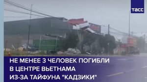 Не менее 3 человек погибли в центре Вьетнама из-за тайфуна "Кадзики"