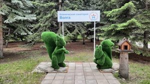 санаторий "Волга" 2025