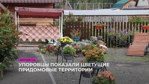 Упоровцы показали цветущие придомовые территории