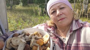 В лесу красота // нарвалась на грибы// мои любимые//