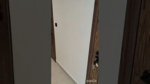 Жк "Невский Парк", наконец-То стали сдавать СТУДИИ 🥳