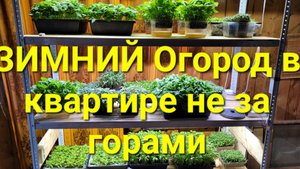 Важный опыт перед зимним огородом