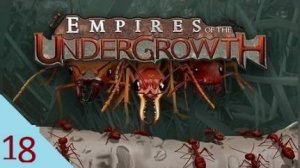 Empires of the Undergrowth 18