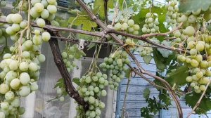 23 августа 2025 Узнал настоящее имя