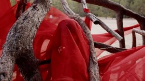 9553374-uhd_4096_2160_25fps