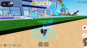 Как добыть Кота-ниндзя