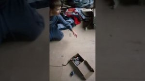 игра в кальмара в реальной жизни