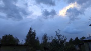 30-08-2025.Дача..Голубика подготовка и посадка первого кустика.