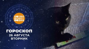 Гороскоп на 26 августа. Доброе утро. Фрагмент выпуска от 26.08.2025