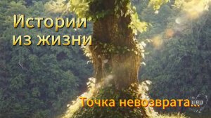 Интересные истории из реальной жизни слушать онлайн. Точка невозврата...