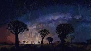 The Cosmic Flute [Flute Psybient Compilation Vol.1] (1).mp4