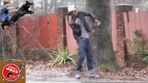 День открытых дверей в мошенническом зоопарке. Автор Андрей Кинолог.