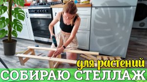 Собираю стеллаж👷♀️🔨 для растений🌱 Иногда нужно отпустить ситуацию🧘♀️