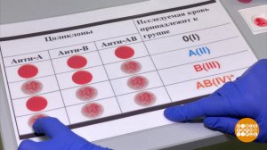 Мы одной крови! Доброе утро. Фрагмент выпуска от 26.08.2025