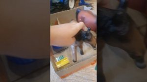 обзор моего КСК в Москве