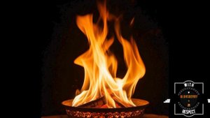 Night campfire (alb. Electric Velocity 2023)