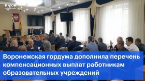 Воронежская гордума дополнила перечень компенсационных выплат работникам образовательных учреждений