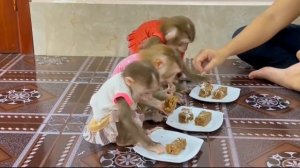 Обезьянки едят НА МЕСТЕ НЕ ВСЕ СИДЯТ всех кто смотрит ВНСЕЛЯТ