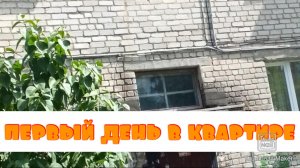 Мой первый полноценный день в новой квартире