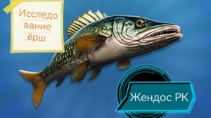 Реальная рыбалка 2. Исследование ёрш на карасевом