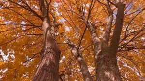 ✨Ценность✨