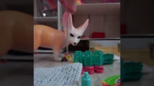 Обзор на вещи для новых собачек