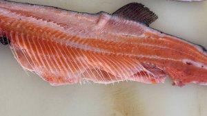 Филетировочная машина для лососевой (красной) рыбы CHSF( CHBF) -2 от CHAMCO. Выход до 86% от ПБГ.