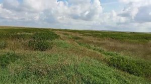 Второй день, обустраиваю своё пристанище