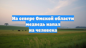 На севере Омской области медведь напал на человека