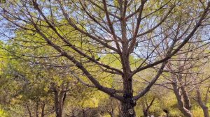 731.Нора и природа, это любовь 💚.