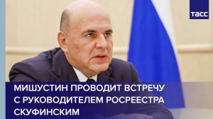 Мишустин проводит встречу с руководителем Росреестра Скуфинским