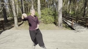 Тайцзицюань, Стиль  Ян,  108 форма