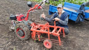 Копка картофеля мотоблоком Мотор Сич. Сезон 2025.