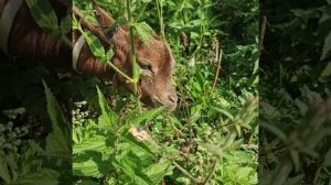 ✨Планёрка понедельника ✨